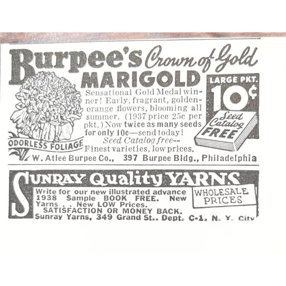 Doan's Pills 1938 Vintage Print Ad Kidney Flush Out Backaches - Picture 8 of 8